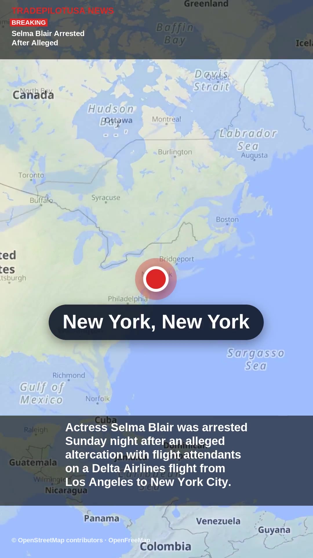Selma Blair Arrested After Alleged In-Flight Altercation